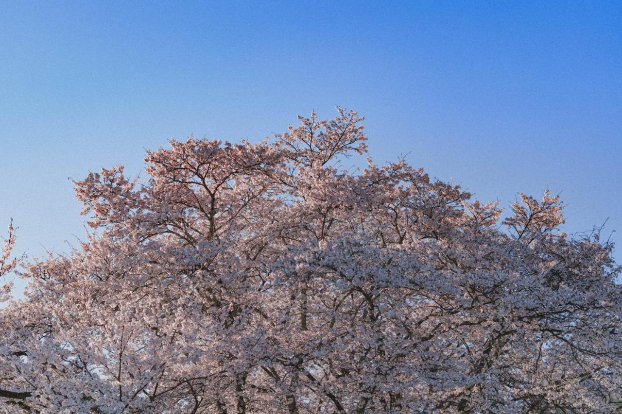 Kominkayado Loof Sakanoie 후에후키시 외부 사진